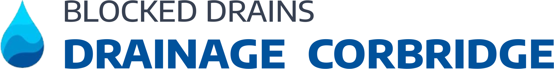 website logo